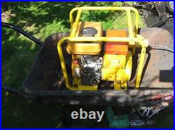 SMALL 600W HAVERHILL 110v GENERATOR Quiet Robin EY08 Japanese Quality Engine